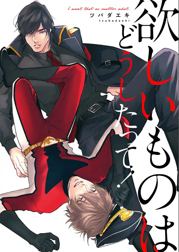 欲しいものはどうしたって!