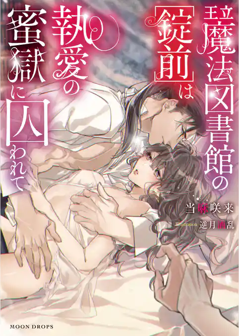 王立魔法図書館の[錠前]は執愛の蜜獄に囚われて