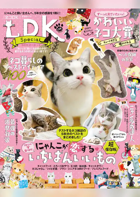 晋遊舎ムック ネコDK Special