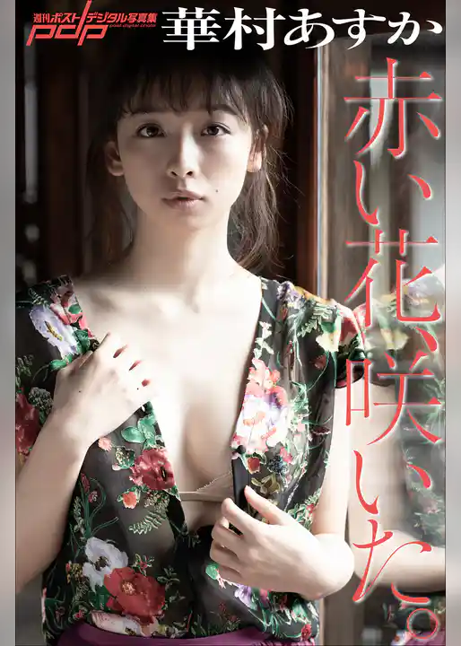 華村あすか　赤い花、咲いた。