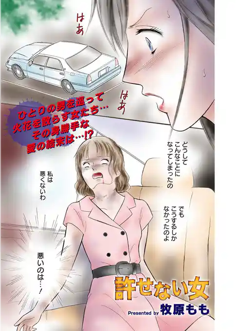 本当にあった主婦の黒い話 vol.8～許せない女～