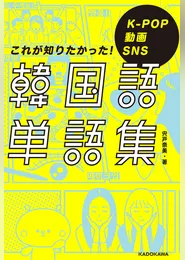 K-POP 動画 SNS これが知りたかった！韓国語単語集