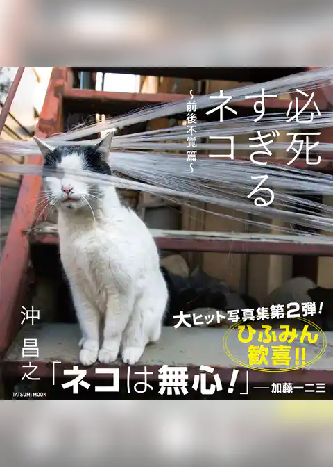 必死すぎるネコ ～前後不覚 篇～