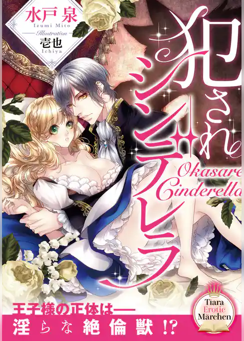 犯されシンデレラ