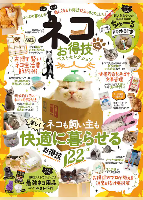 晋遊舎ムック お得技シリーズ167　ネコお得技ベストセレクション