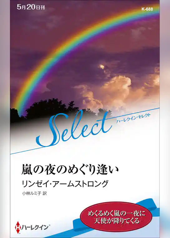 嵐の夜のめぐり逢い【ハーレクイン・セレクト版】