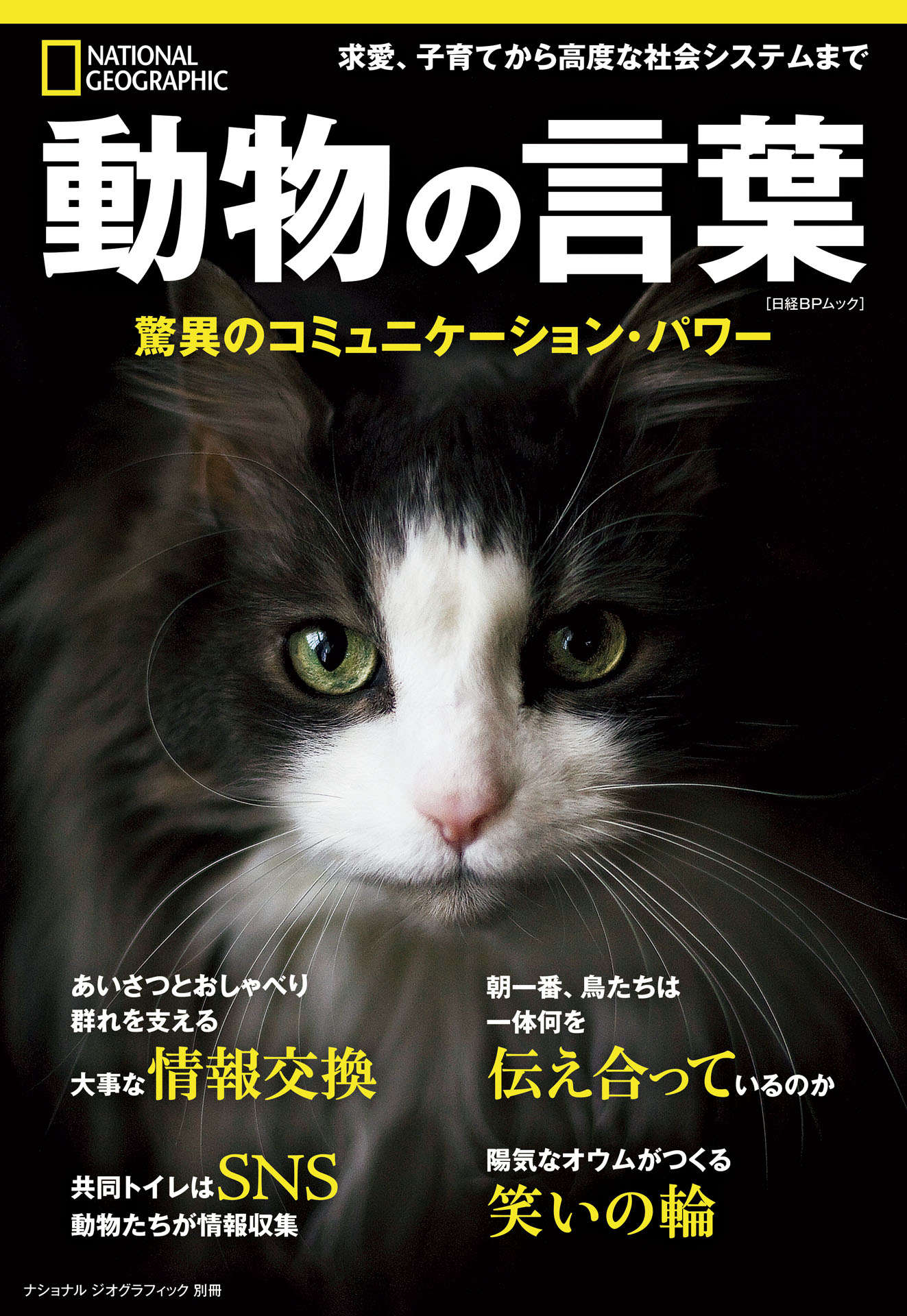 バイキング 世界をかき乱した海の覇者 (ナショナル ジオグラフィック