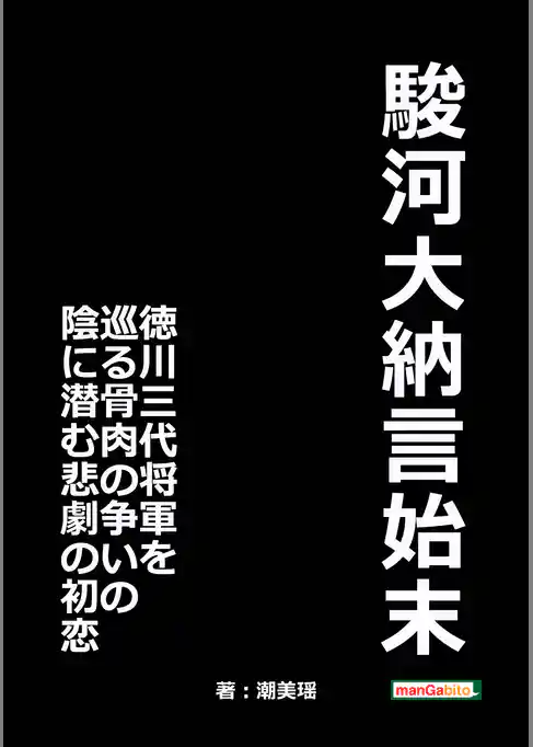 駿河大納言始末　徳川三代将軍を巡る骨肉の争いの陰に潜む悲劇の初恋