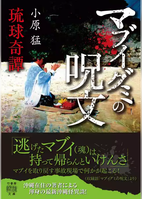 琉球奇譚 マブイグミの呪文
