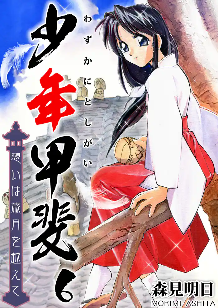 少年甲斐~想いは歳月を越えて~ 6巻