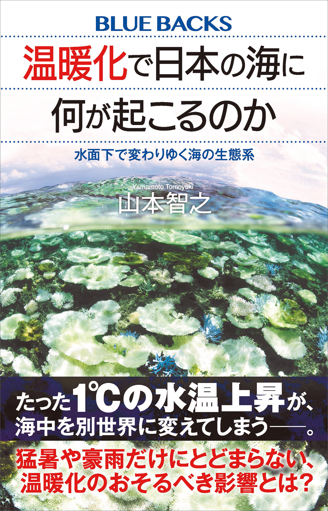 温暖化で日本の海に何が起こるのか 水面下で変わりゆく海の生態系(書籍