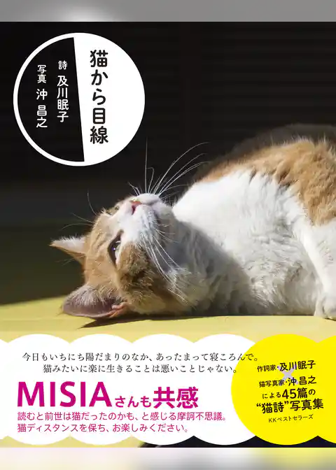 猫から目線