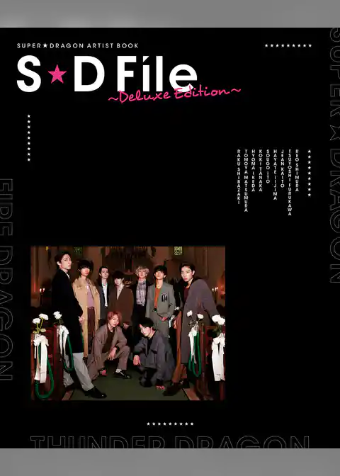 SUPER★DRAGON ARTIST BOOK　S★D File ～Deluxe Edition～