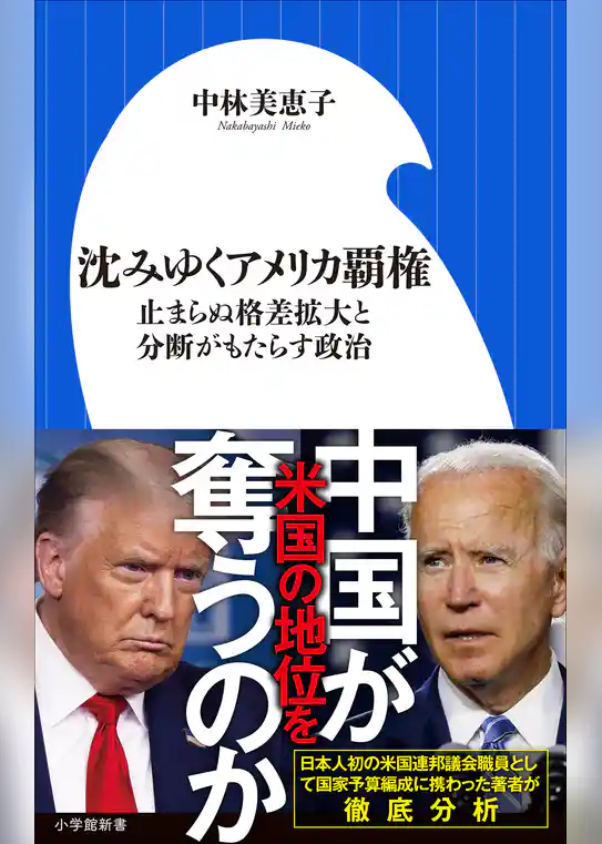 沈みゆくアメリカ覇権　～止まらぬ格差拡大と分断がもたらす政治～（小学館新書）