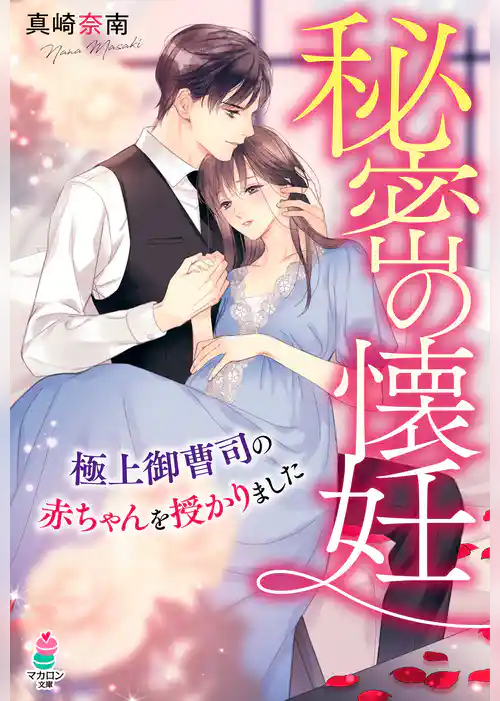 秘密の懐妊～極上御曹司の赤ちゃんを授かりました～
