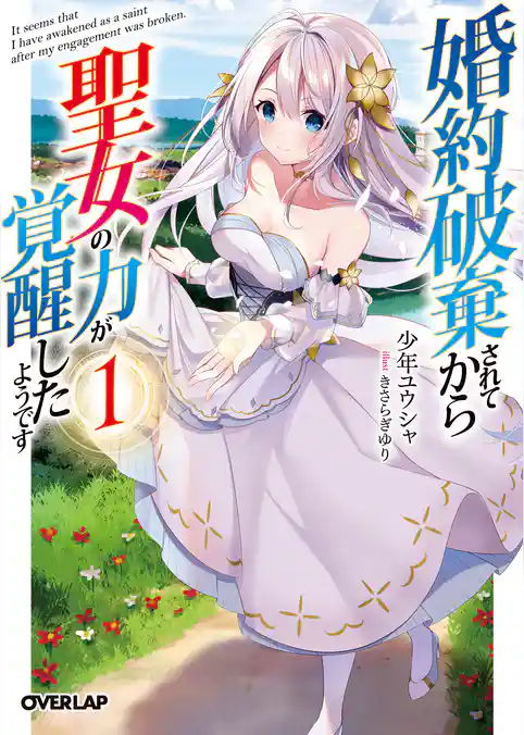 婚約破棄されてから聖女の力が覚醒したようです