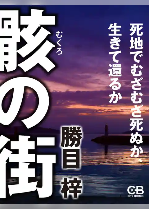 骸の街