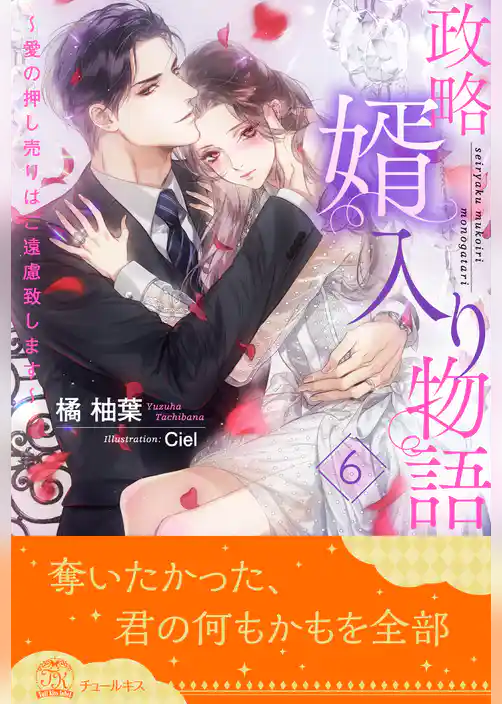 政略婿入り物語～愛の押し売りはご遠慮致します～