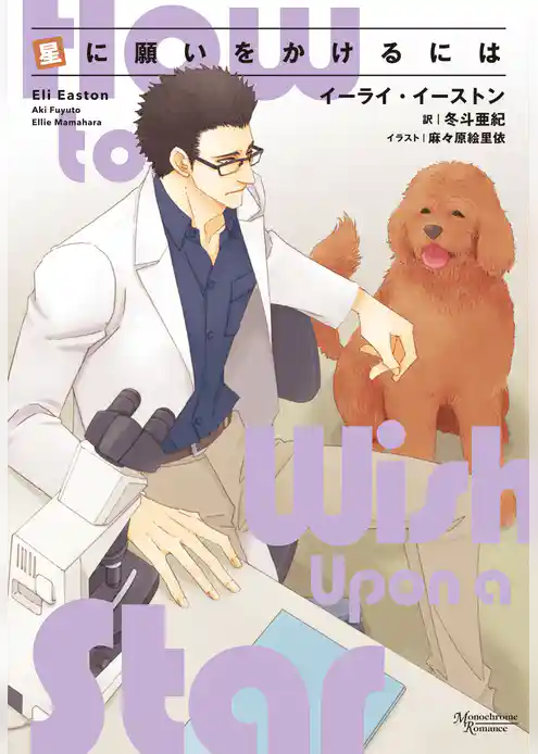 星に願いをかけるには