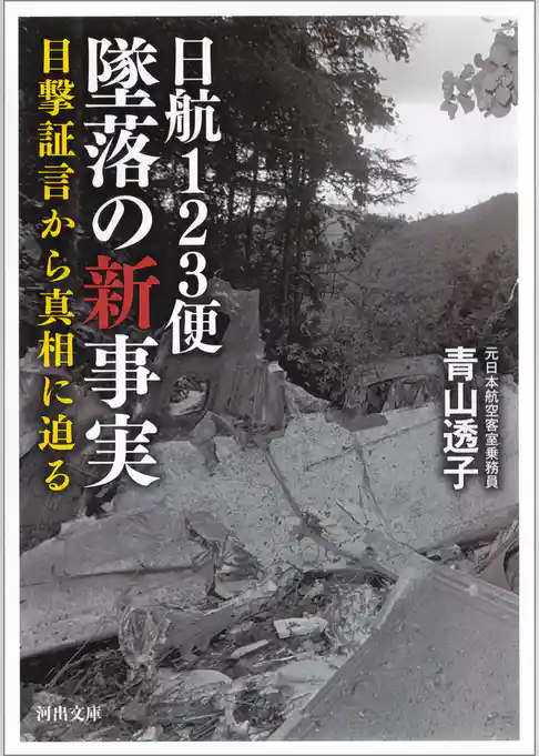 日航１２３便　墜落の新事実　目撃証言から真相に迫る
