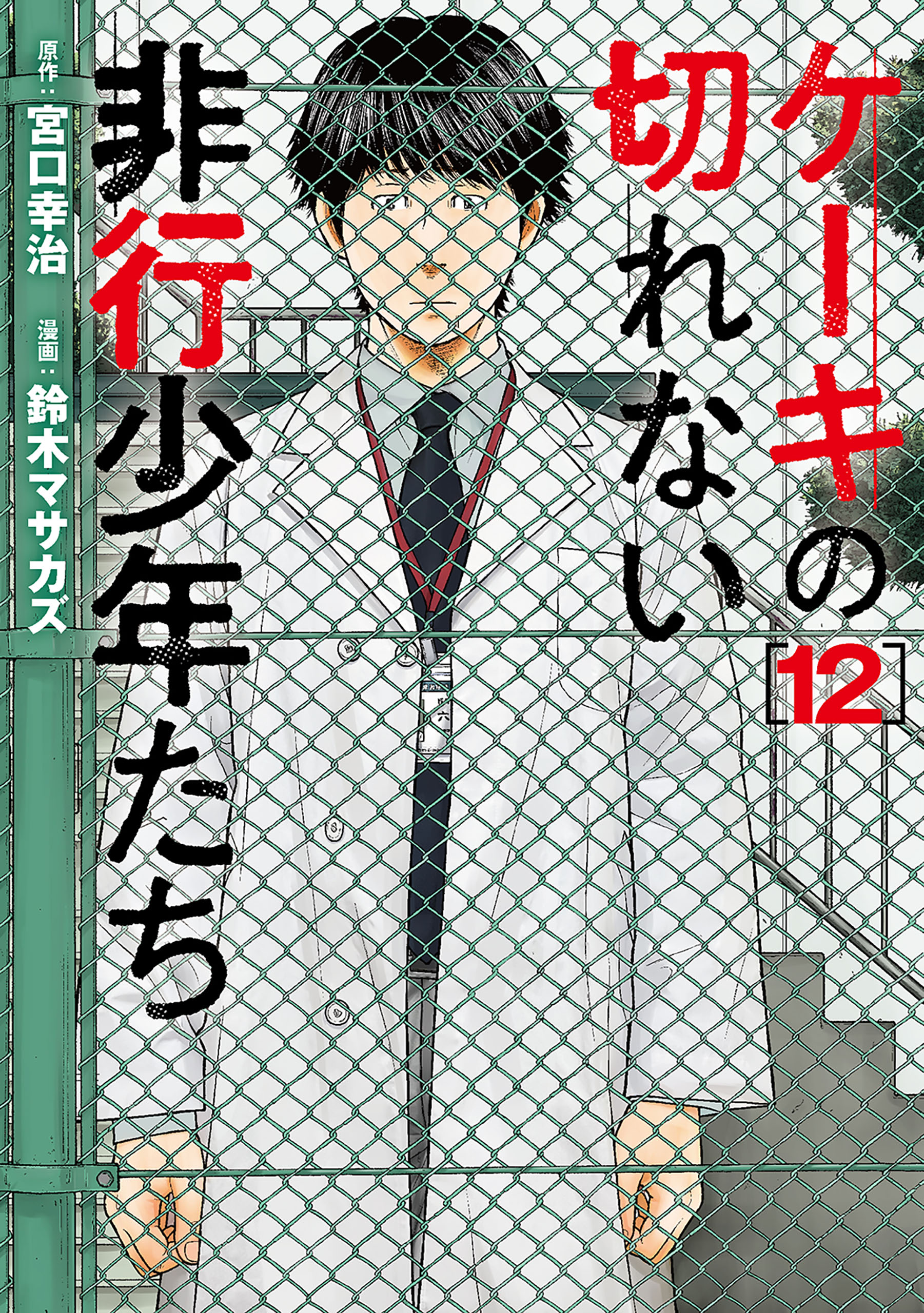 どうしても頑張れない人たち―ケーキの切れない非行少年たち2―（新潮