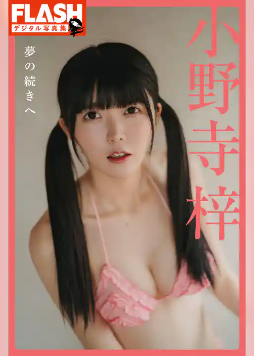 FLASHデジタル写真集　小野寺梓　夢の続きへ