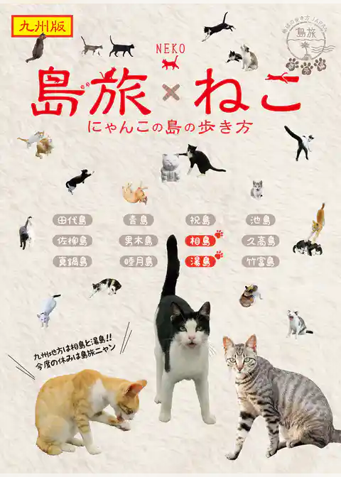 島旅 22 ねこ 【分冊】