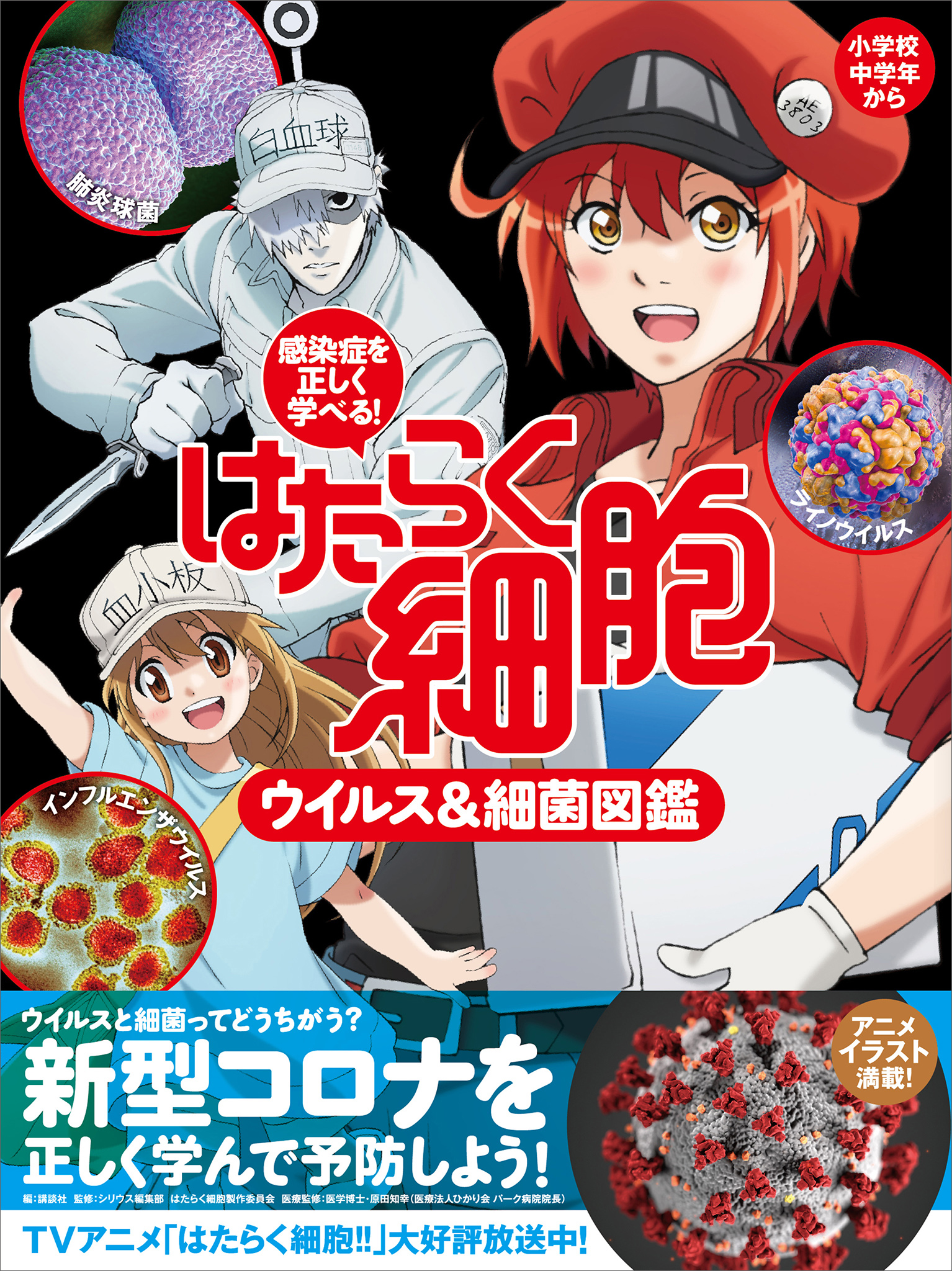 感染症を正しく学べる！ はたらく細胞 ウイルス＆細菌図鑑(書籍