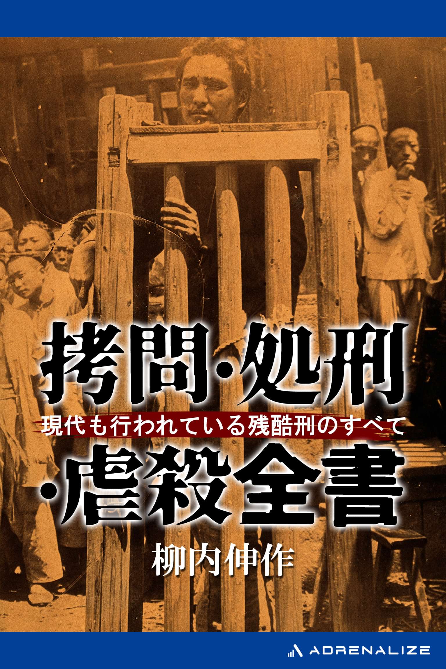 拷問 処刑 虐殺全書 書籍 電子書籍 U Next 初回600円分無料 拷問 処刑 虐殺全書 書籍 電子書籍 U Next 初回600円分無料