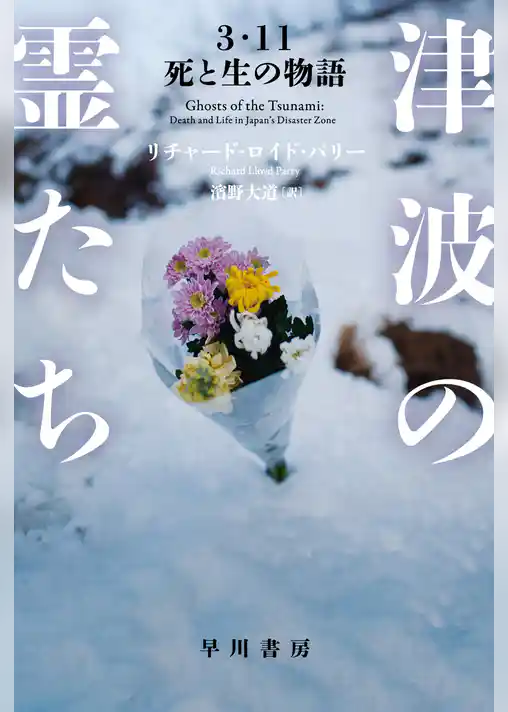 津波の霊たち　３・11　死と生の物語