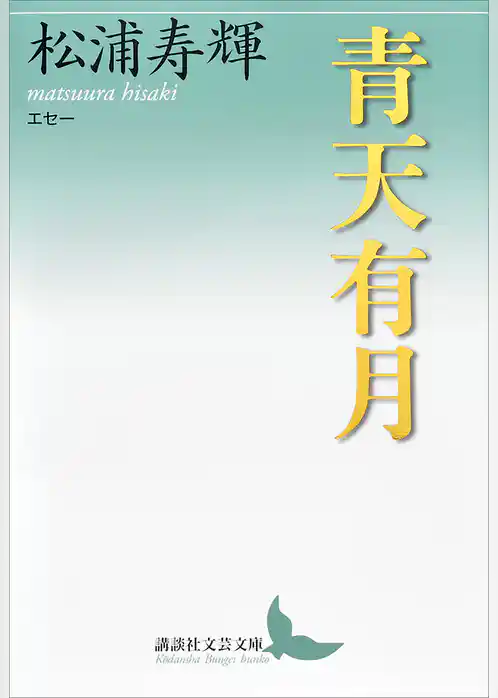 青天有月　エセー