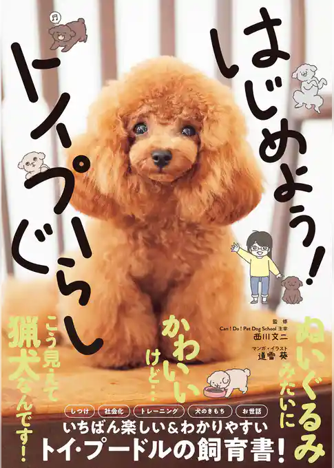 はじめよう！トイプーぐらし