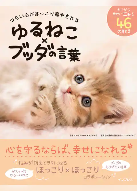 つらい心がほっこり癒やされる ゆるねこ×ブッダの言葉