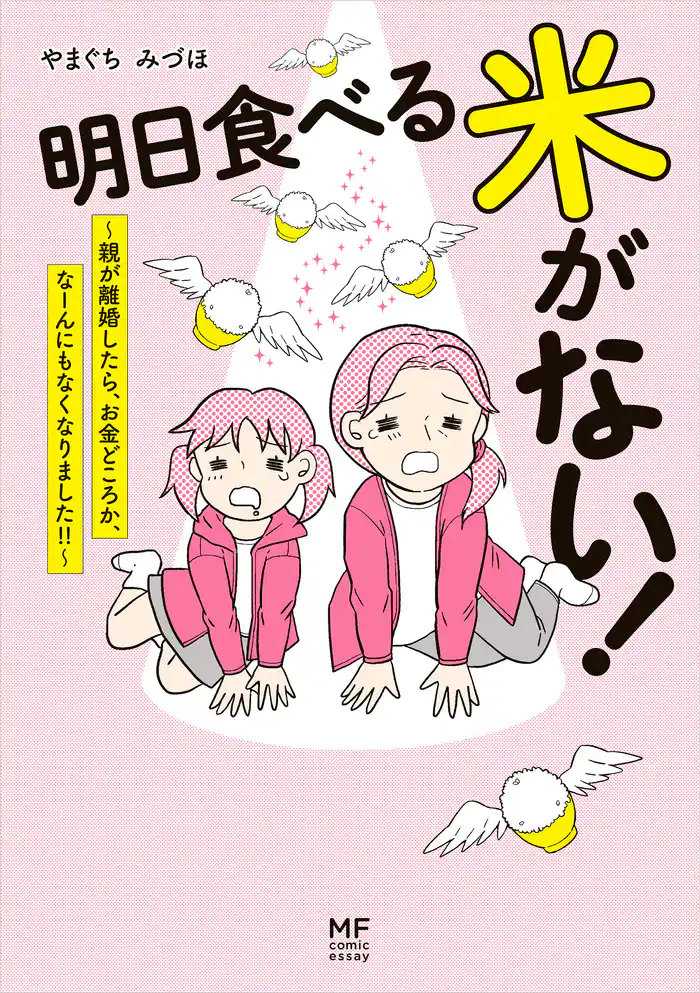明日食べる米がない！　～親が離婚したら、お金どころか、なーんにもなくなりました！！～