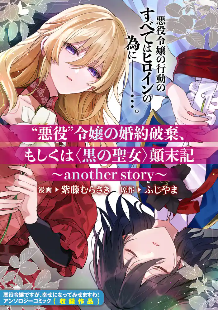 “悪役”令嬢の婚約破棄、もしくは<黒の聖女>顛末記~another story~
