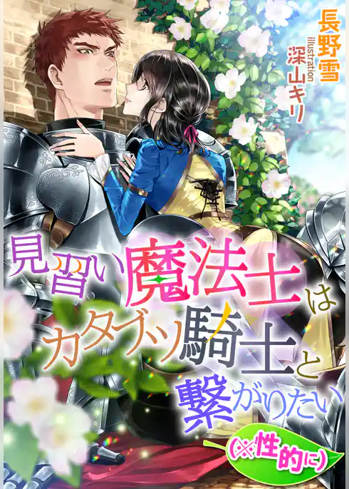 見習い魔法士はカタブツ騎士と繋がりたい（※性的に）