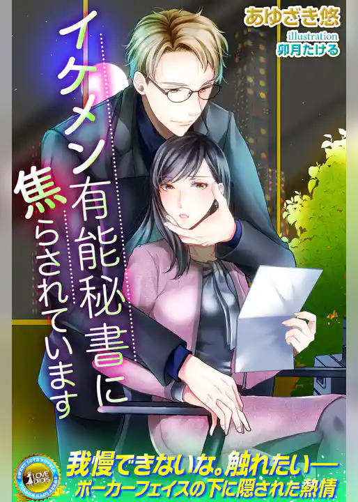 イケメン有能秘書に焦らされています