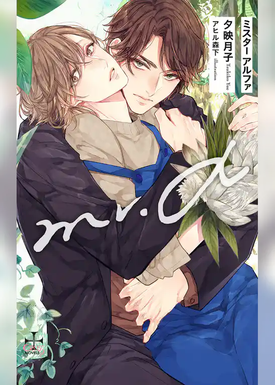 Mr.α【特別版】(イラスト付き)