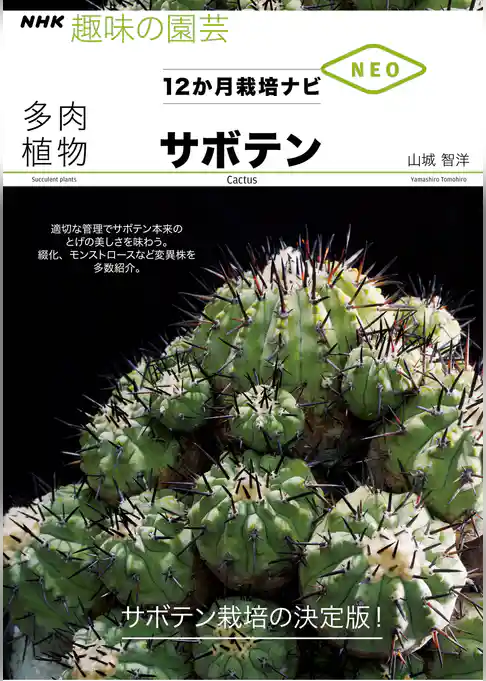 多肉植物　サボテン