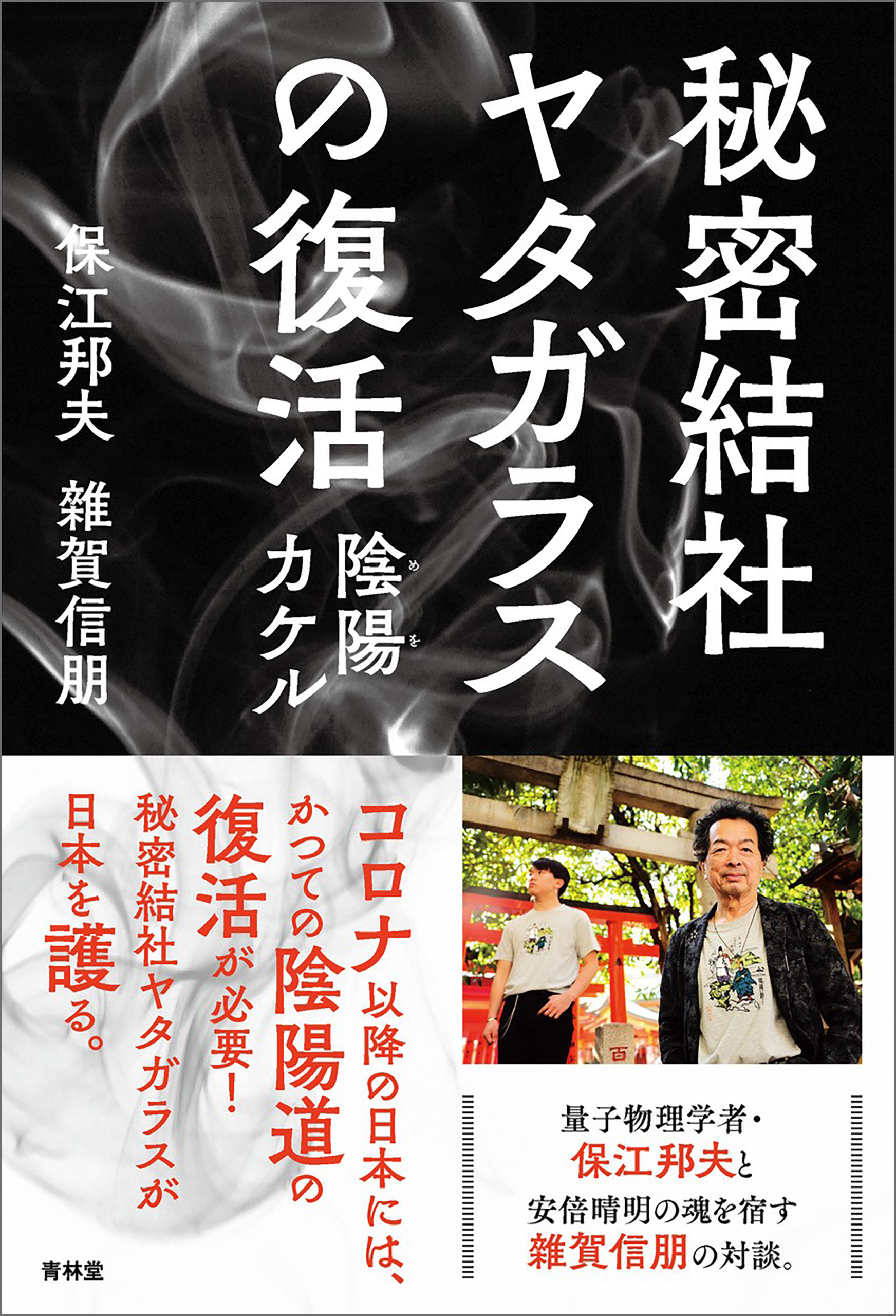 秘密結社ヤタガラスの復活(書籍) - 電子書籍 | U-NEXT 初回600円分無料