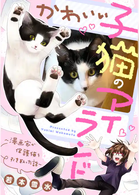 かわいい子猫のアイランド ~漫画家が保護猫を引き取った話~