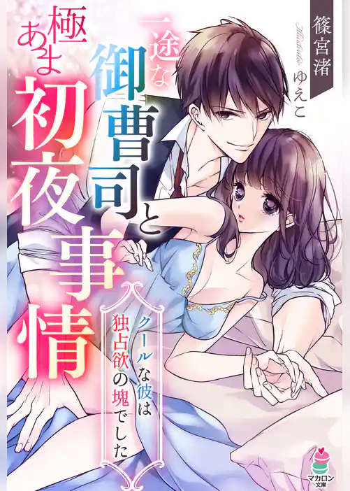 一途な御曹司と極あま初夜事情～クールな彼は独占欲の塊でした～