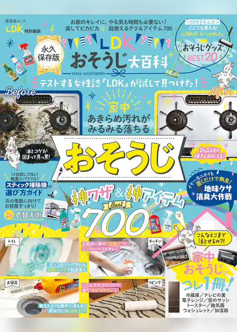 晋遊舎ムック　LDKおそうじ大百科
