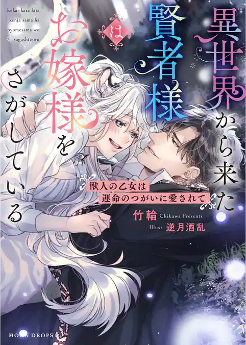 異世界から来た賢者様はお嫁様をさがしている　獣人の乙女は運命のつがいに愛されて