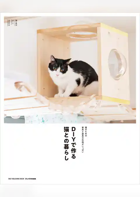 DIYで作る猫との暮らし