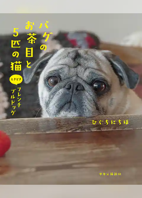 パグのお茶目と5匹の猫 ときどきフレンチブルドッグ