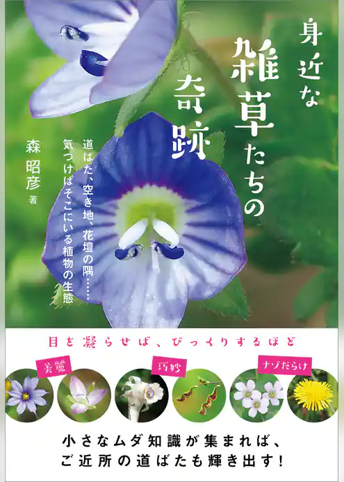 身近な雑草たちの奇跡　道ばた、空き地、花壇の隅……気づけばそこにいる植物の生態