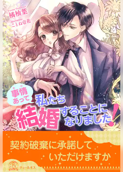 【全1-6セット】事情（わけ）あって私たち結婚することになりました！【イラスト付】