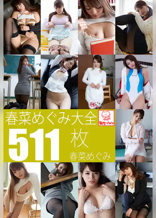 春菜めぐみ大全511枚収録　春菜めぐみ