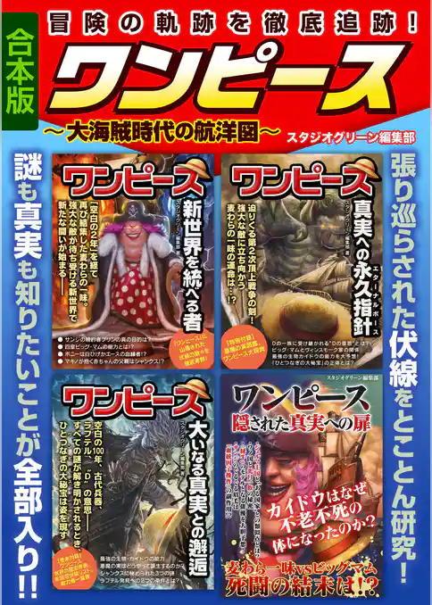 ワンピース～大海賊時代の航洋図～